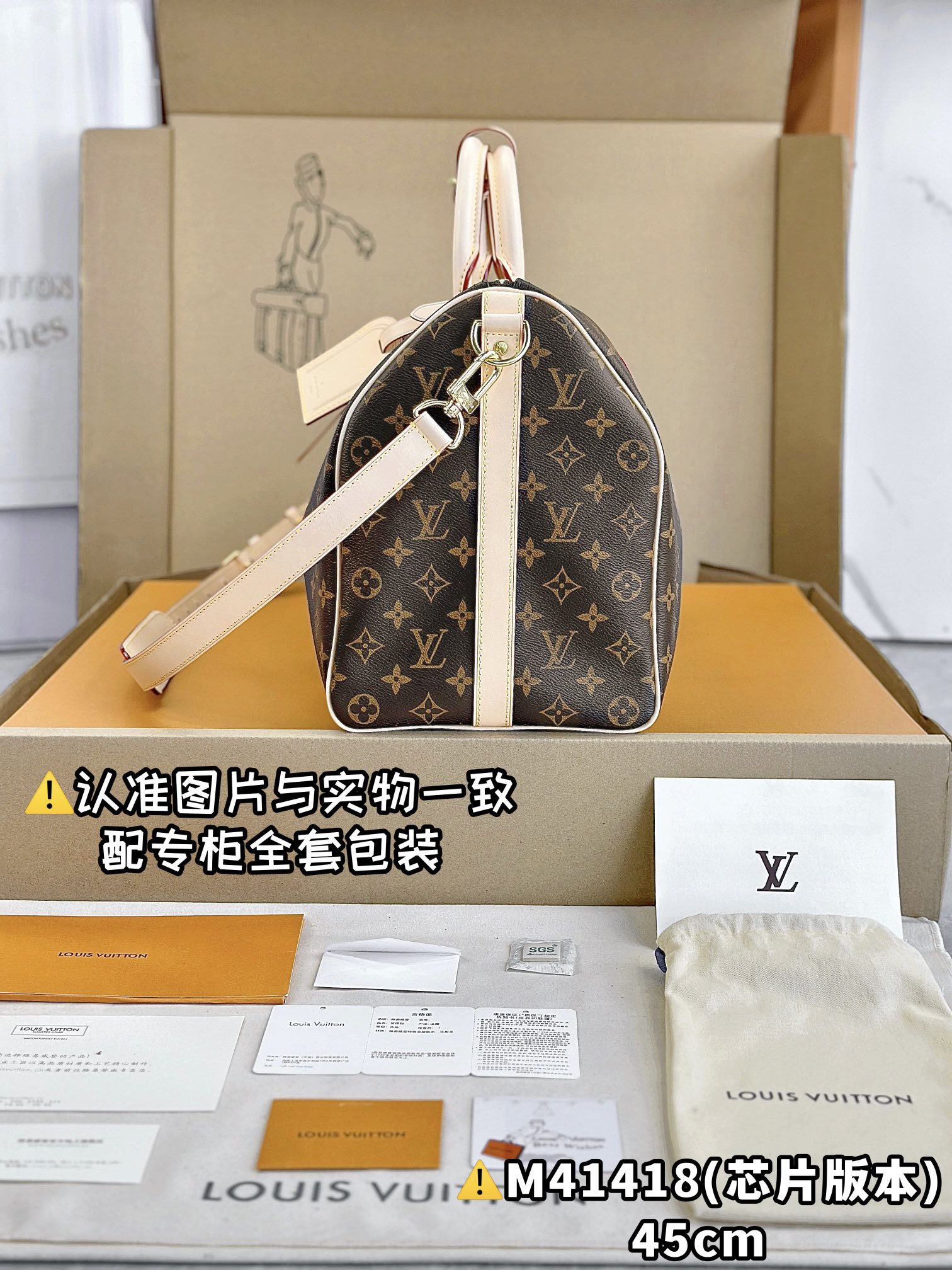 LV Travel Bags